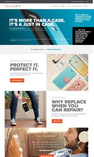 screenshot of a clients website